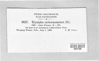 Image Associated With the Occurence